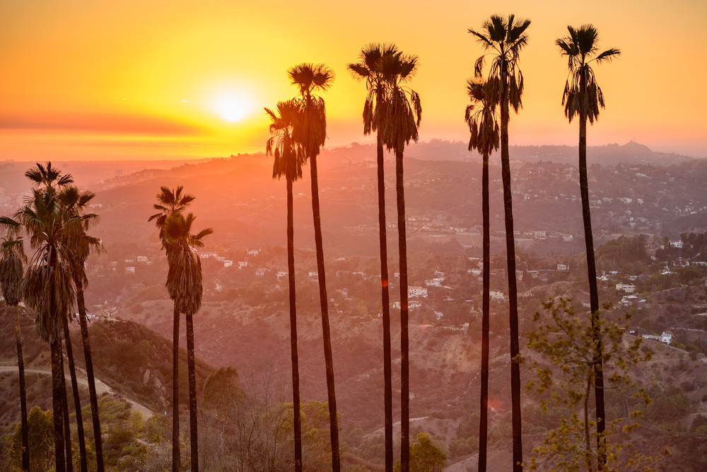 Griffith Park, Los Angeles, California, USA. Griffith Park, Los Angeles, California, USA.